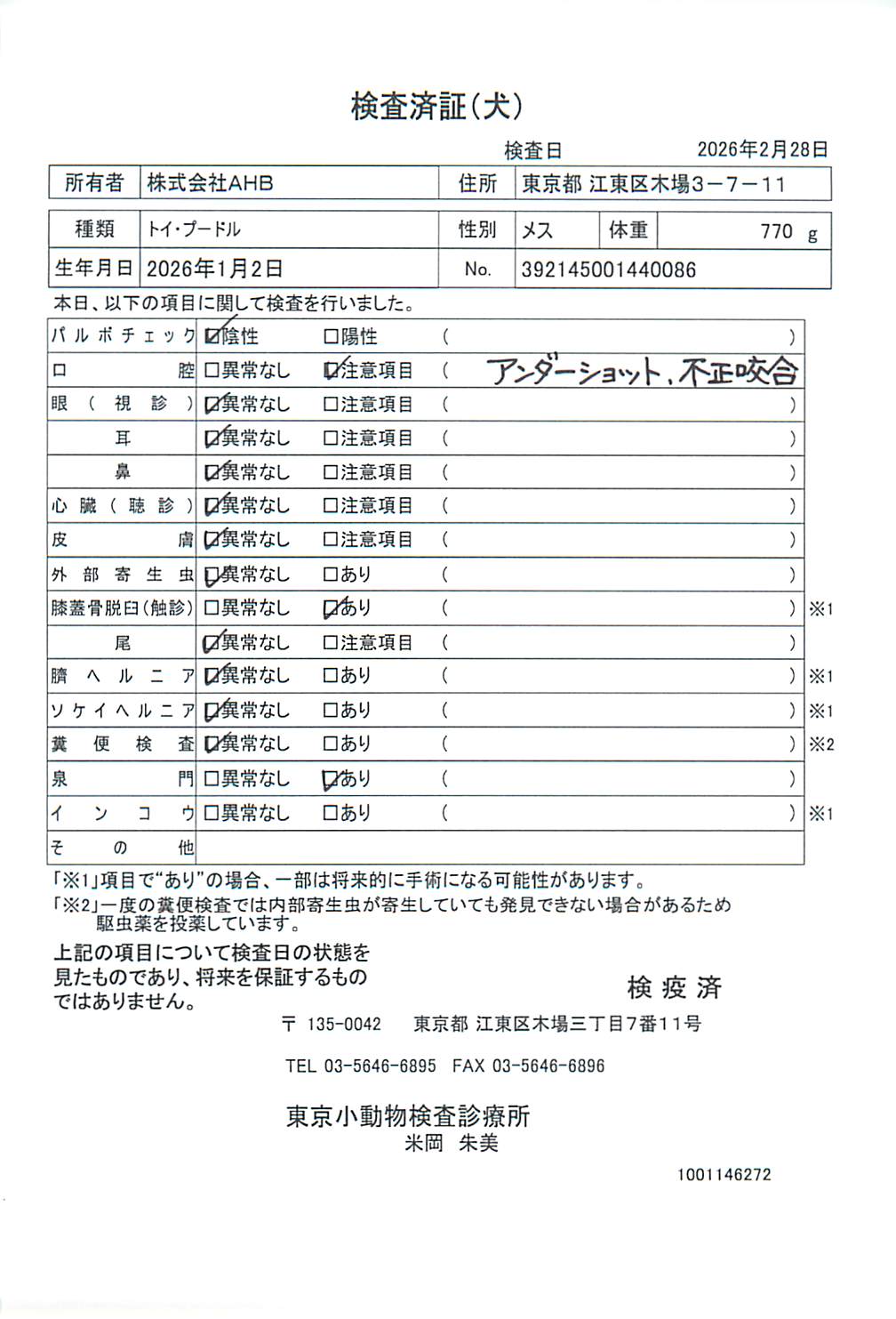 トイ・プードル