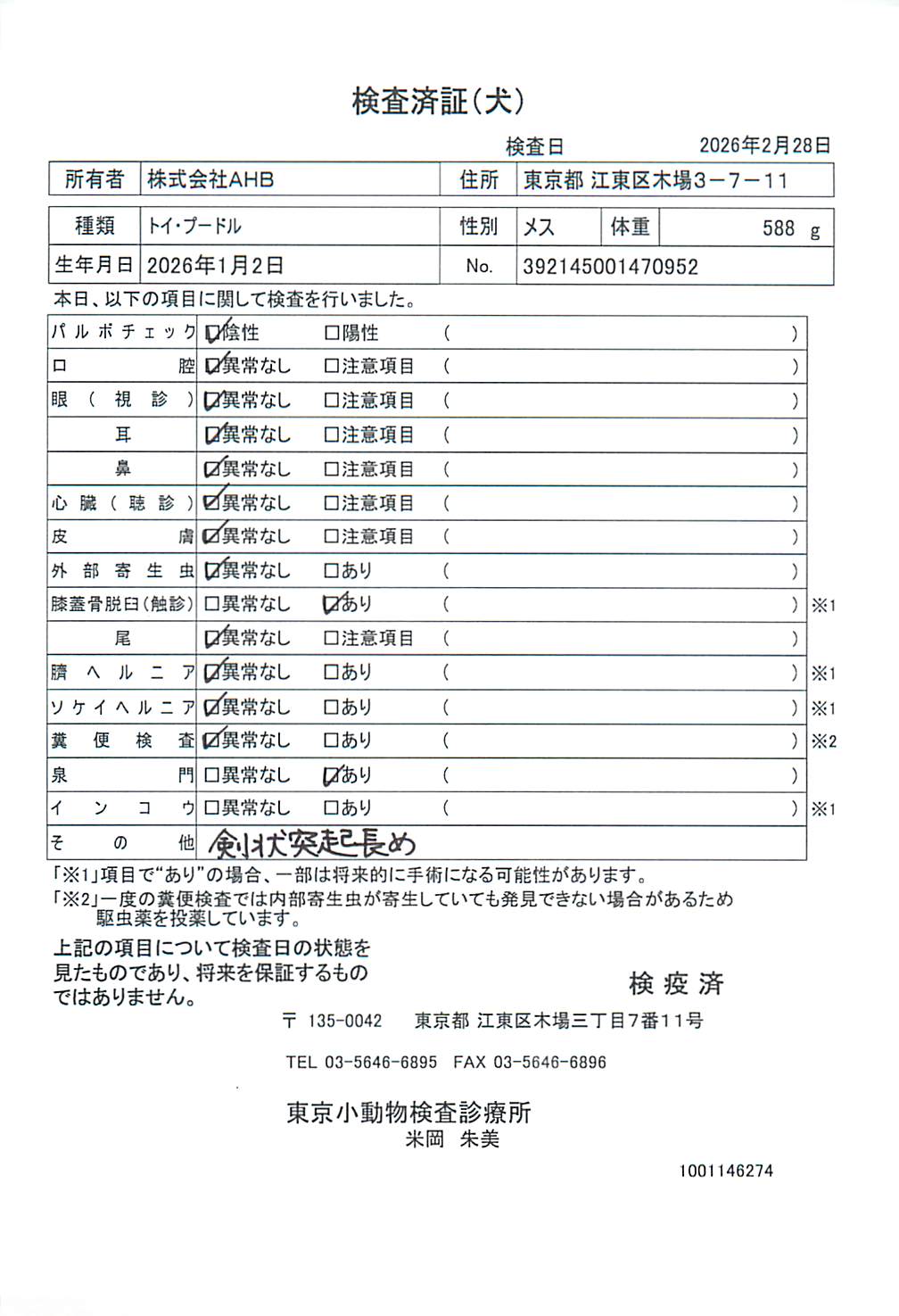 トイ・プードル
