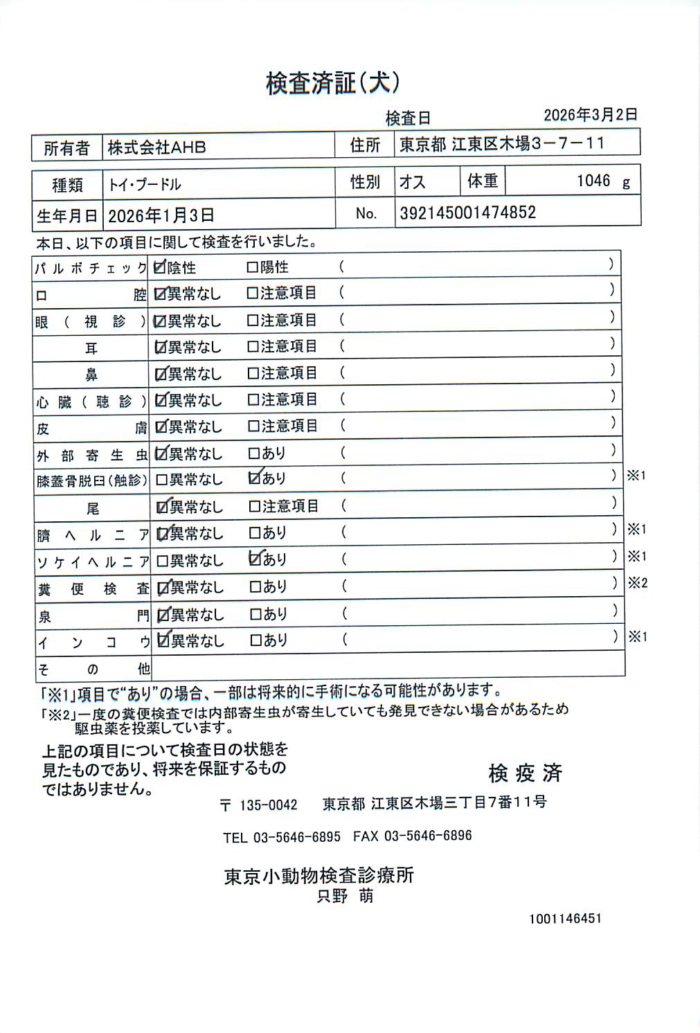 トイ・プードル