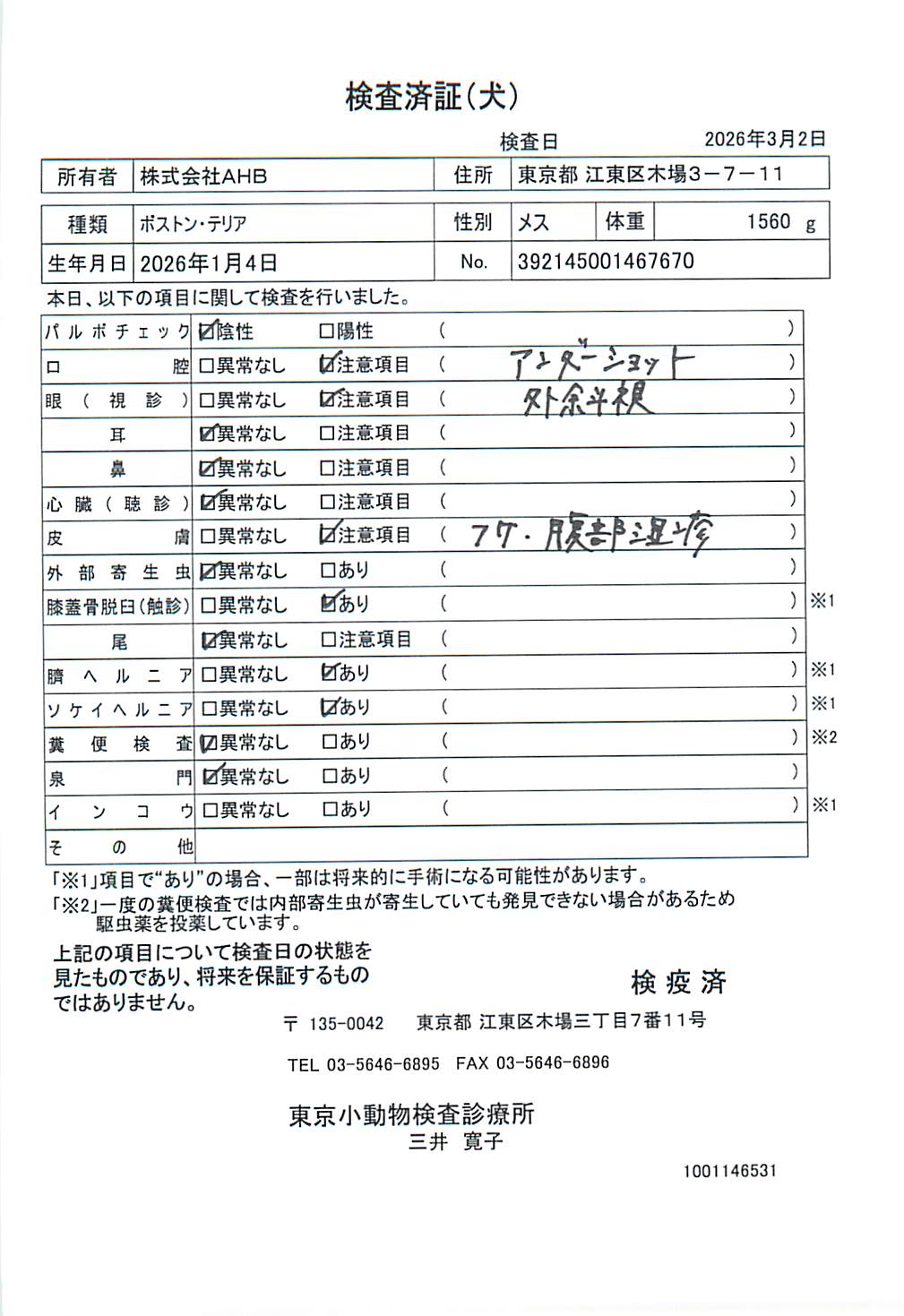 ボストン・テリア