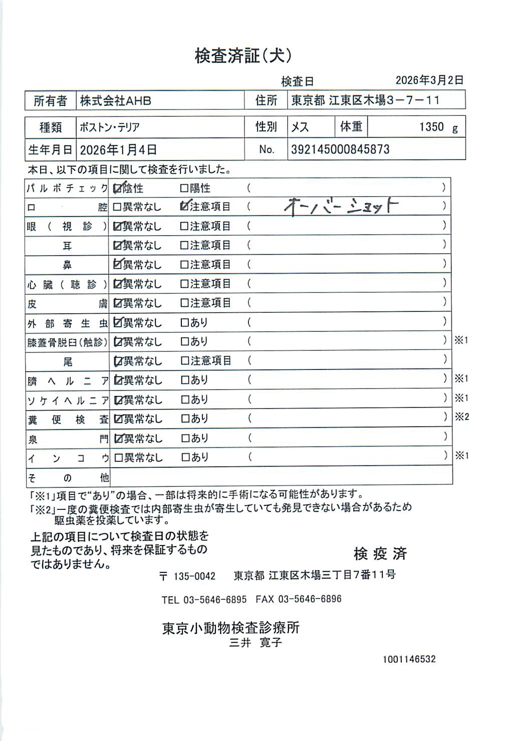 ボストン・テリア