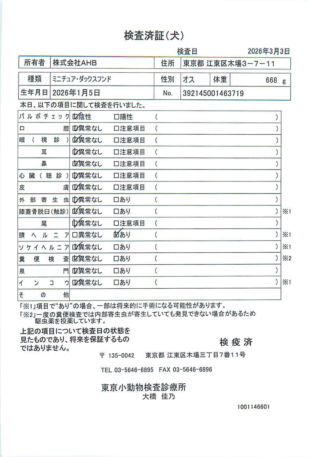 ミニチュア・ダックスフンド
