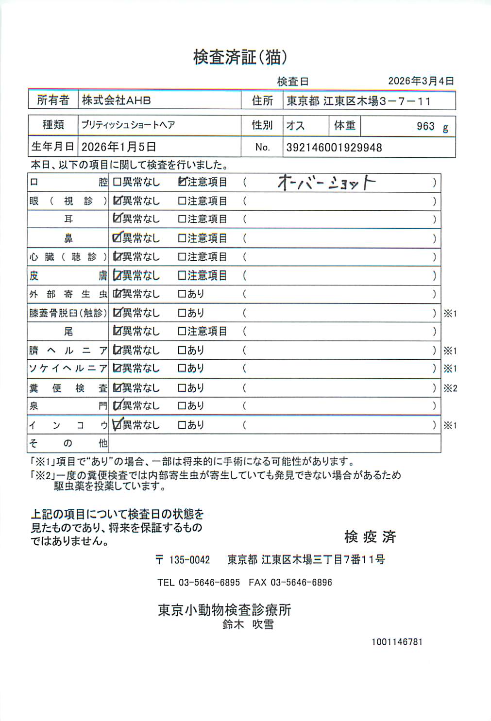 ブリティッシュショートヘア