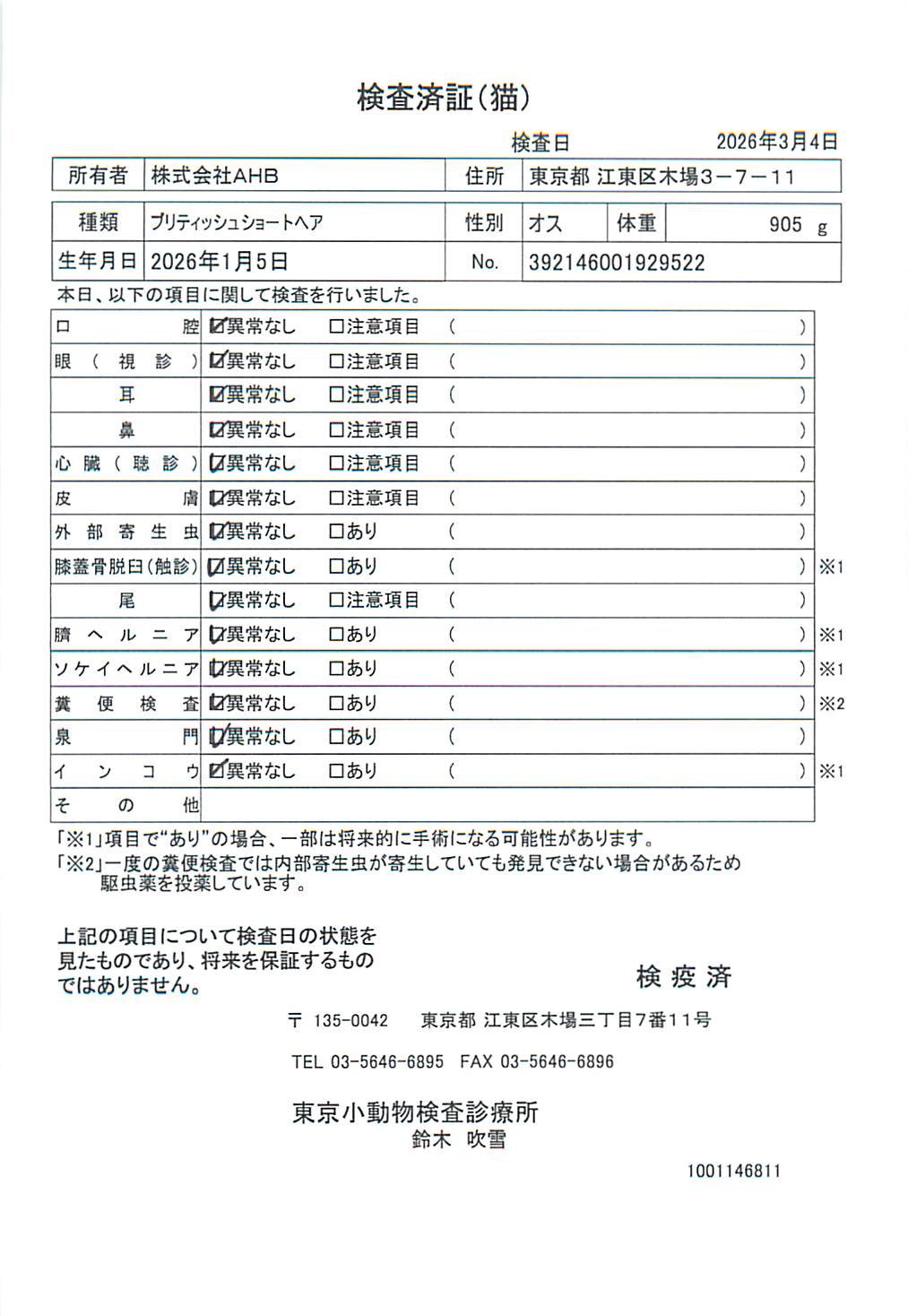 ブリティッシュショートヘア