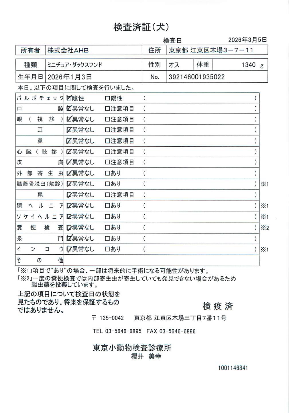 ミニチュア・ダックスフンド