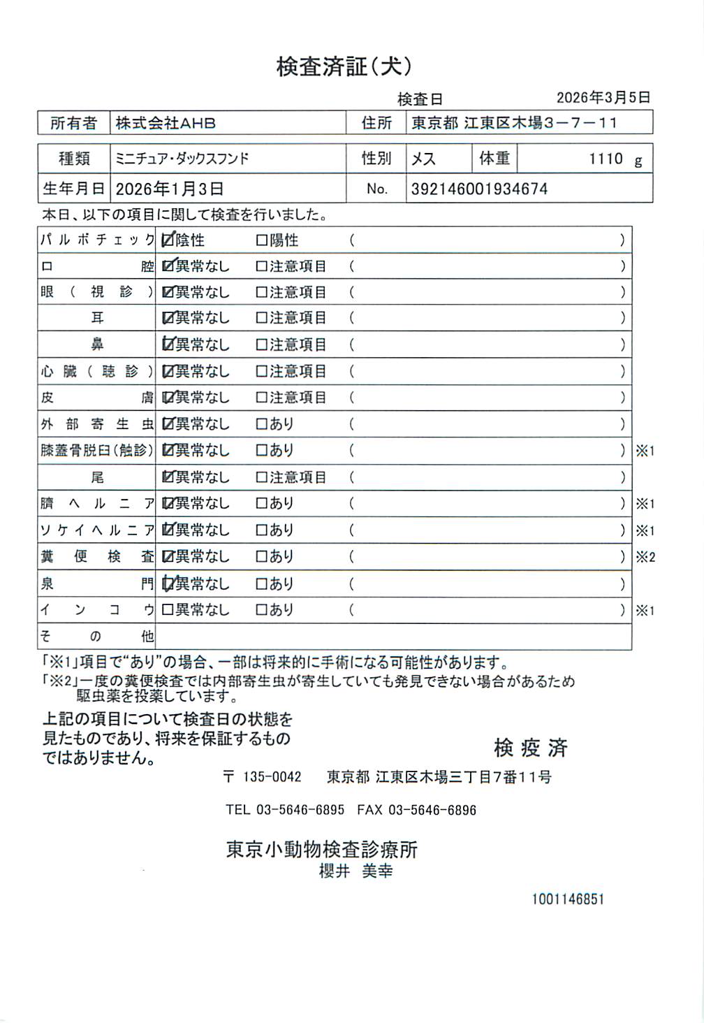 ミニチュア・ダックスフンド