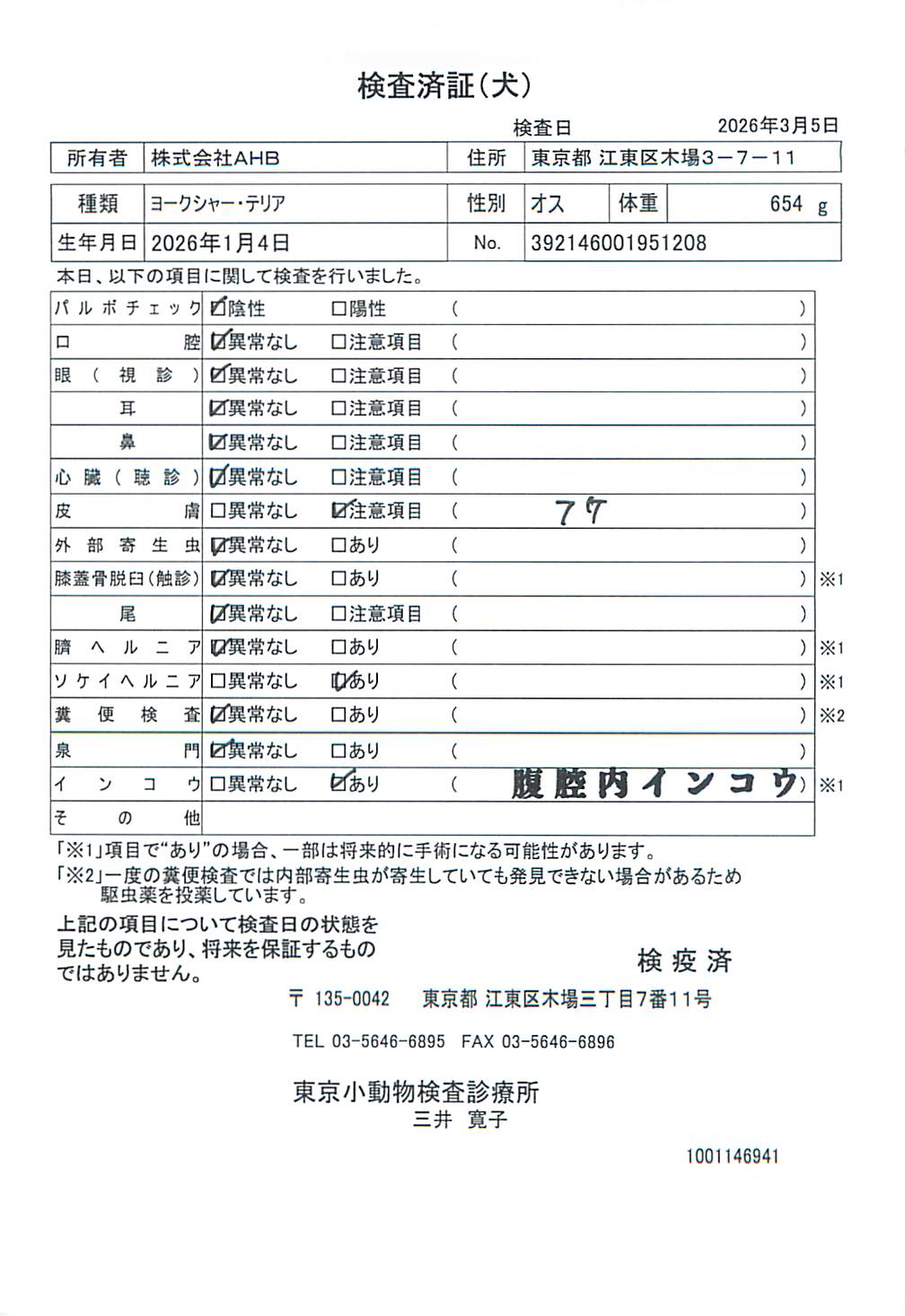 ヨークシャー・テリア