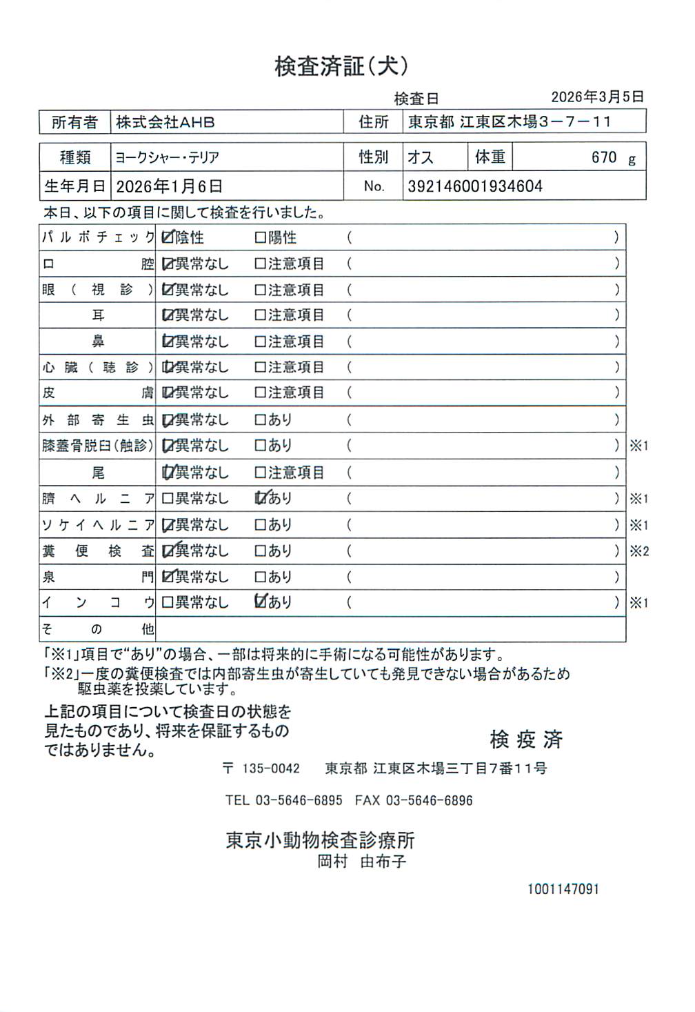 ヨークシャー・テリア