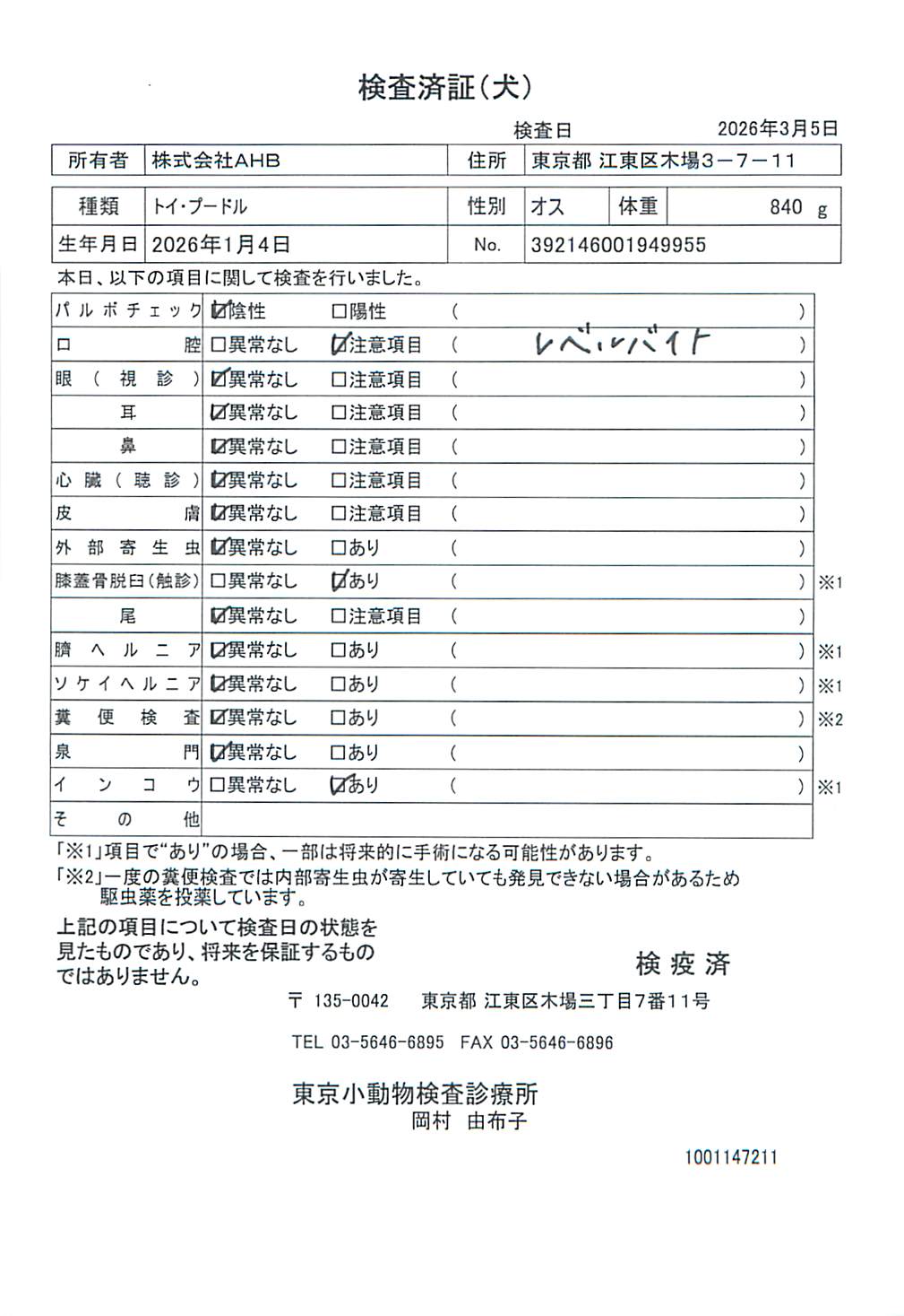 トイ・プードル