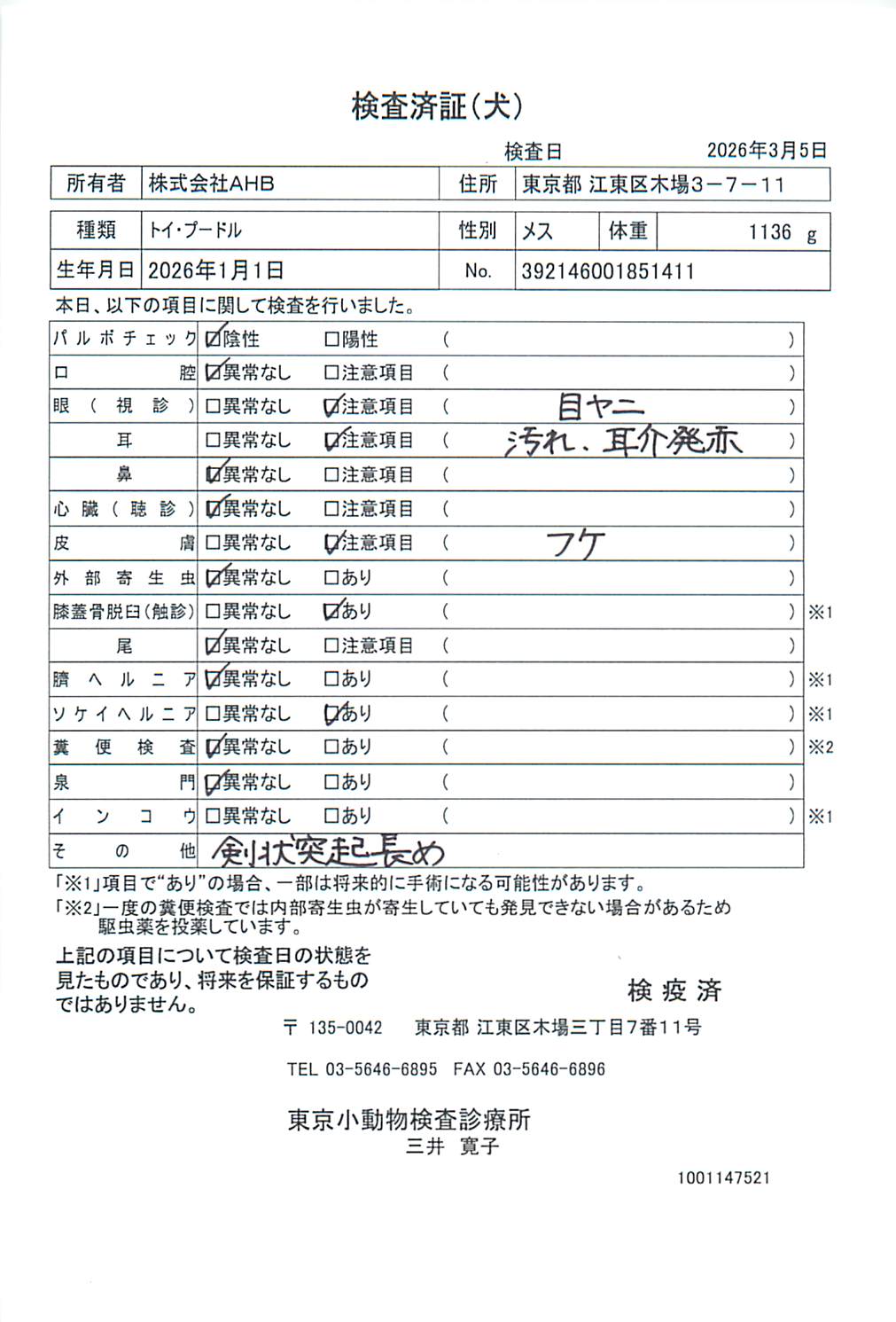 トイ・プードル