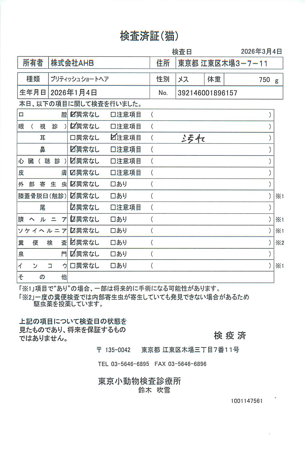 ブリティッシュショートヘア