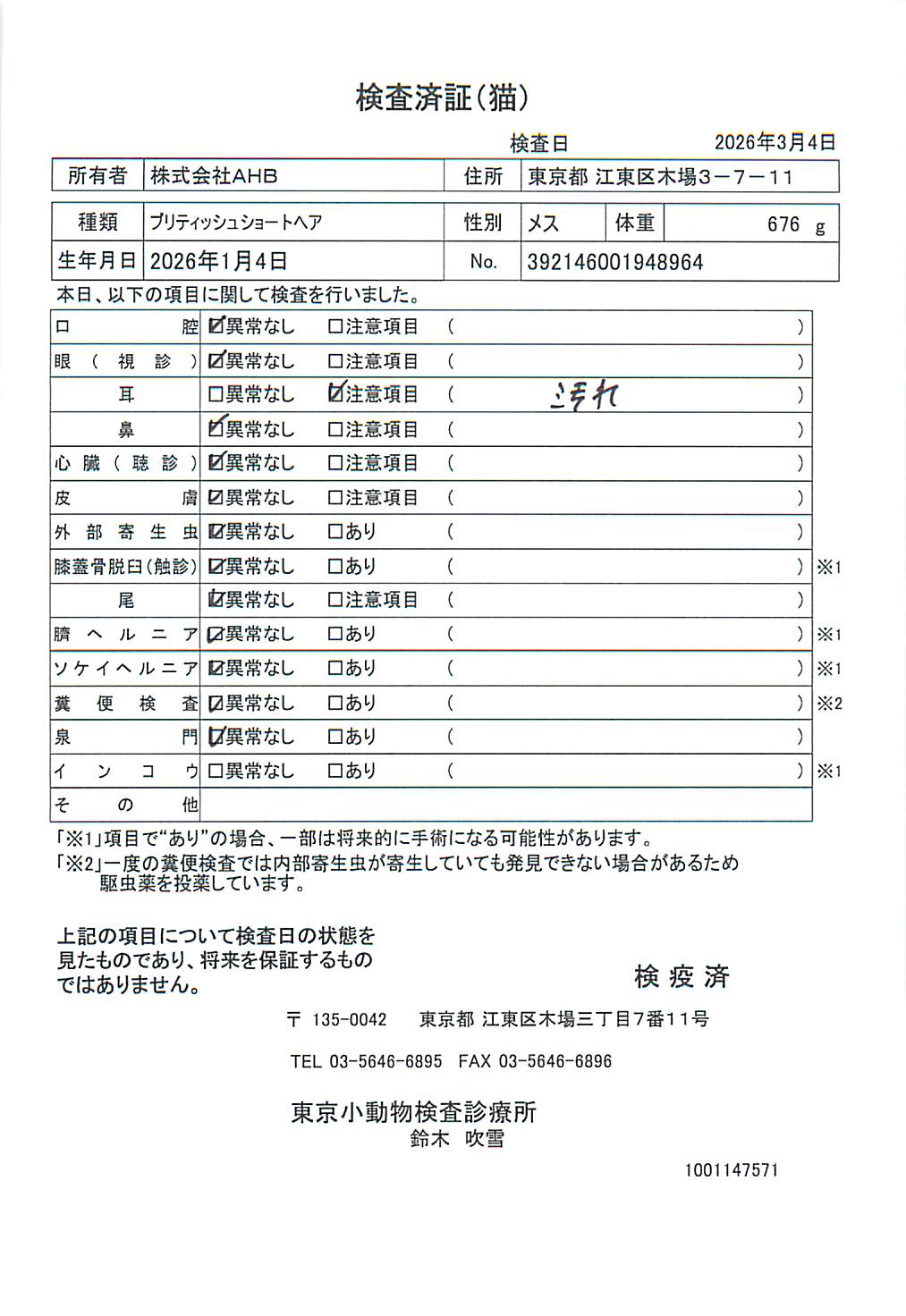 ブリティッシュショートヘア