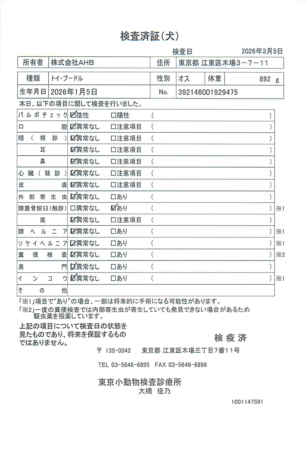 トイ・プードル