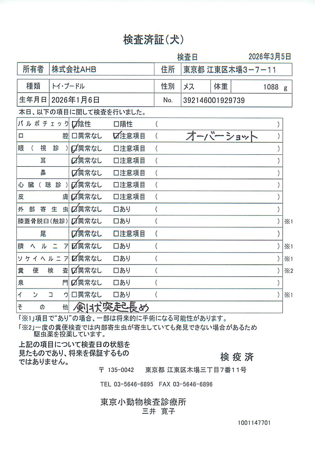 トイ・プードル