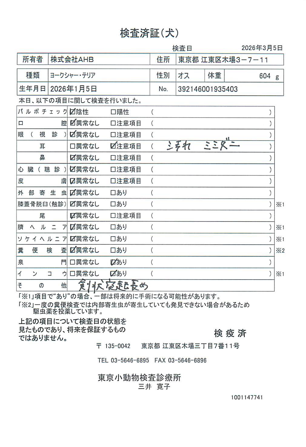 ヨークシャー・テリア