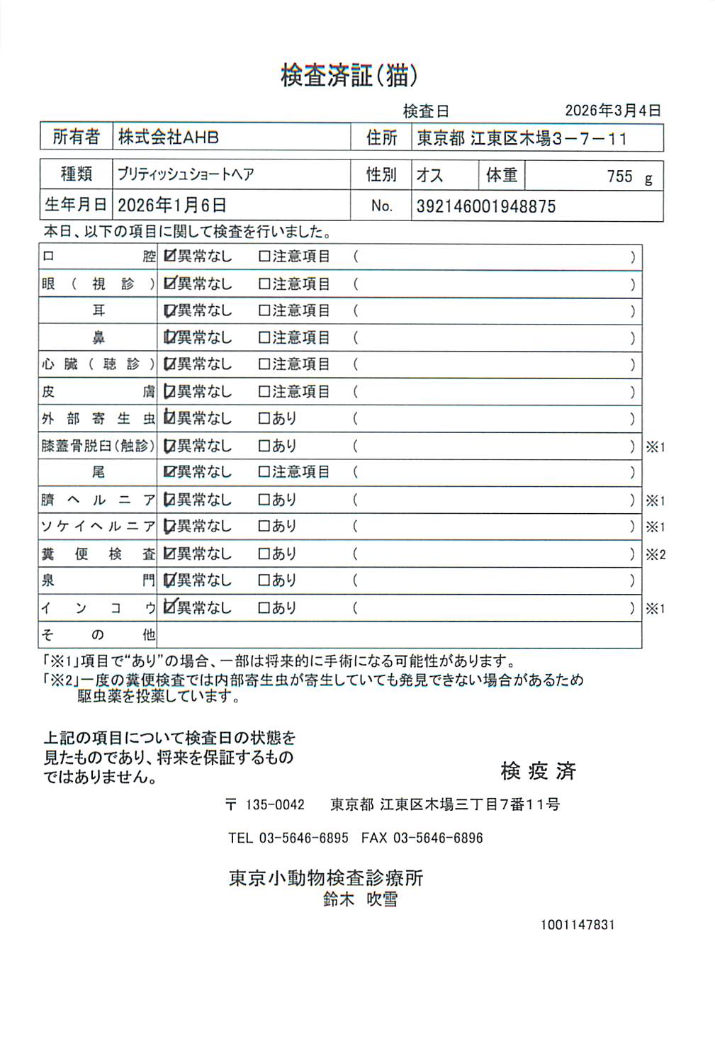 ブリティッシュショートヘア