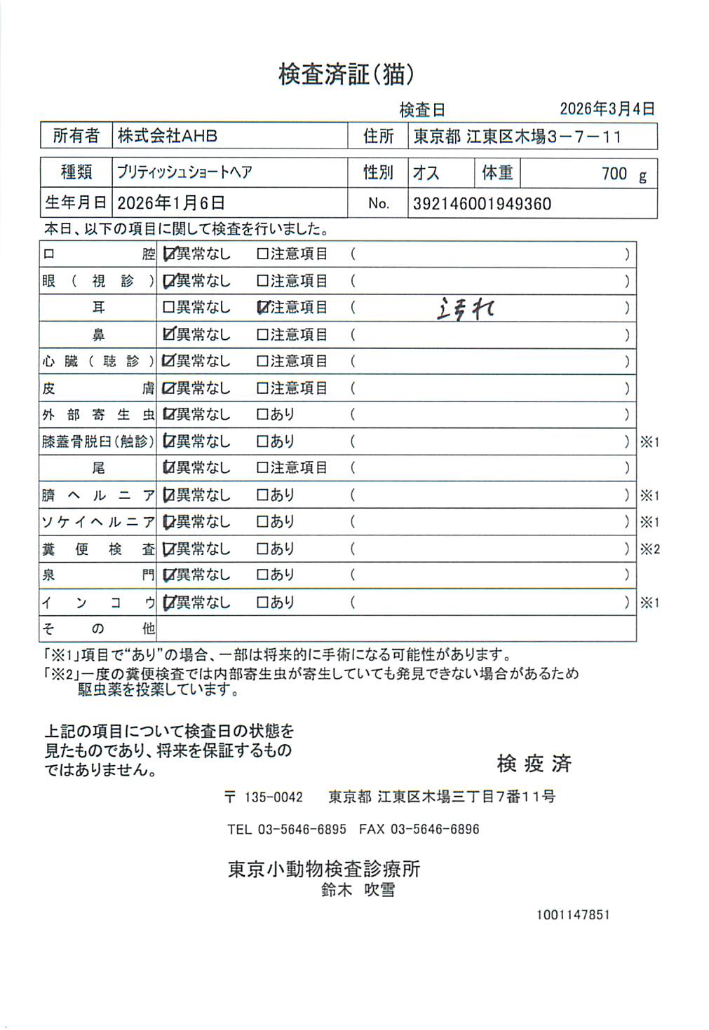 ブリティッシュショートヘア