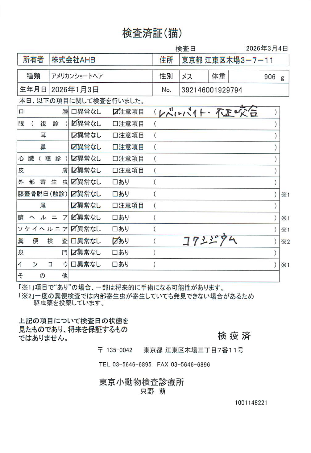 アメリカンショートヘア