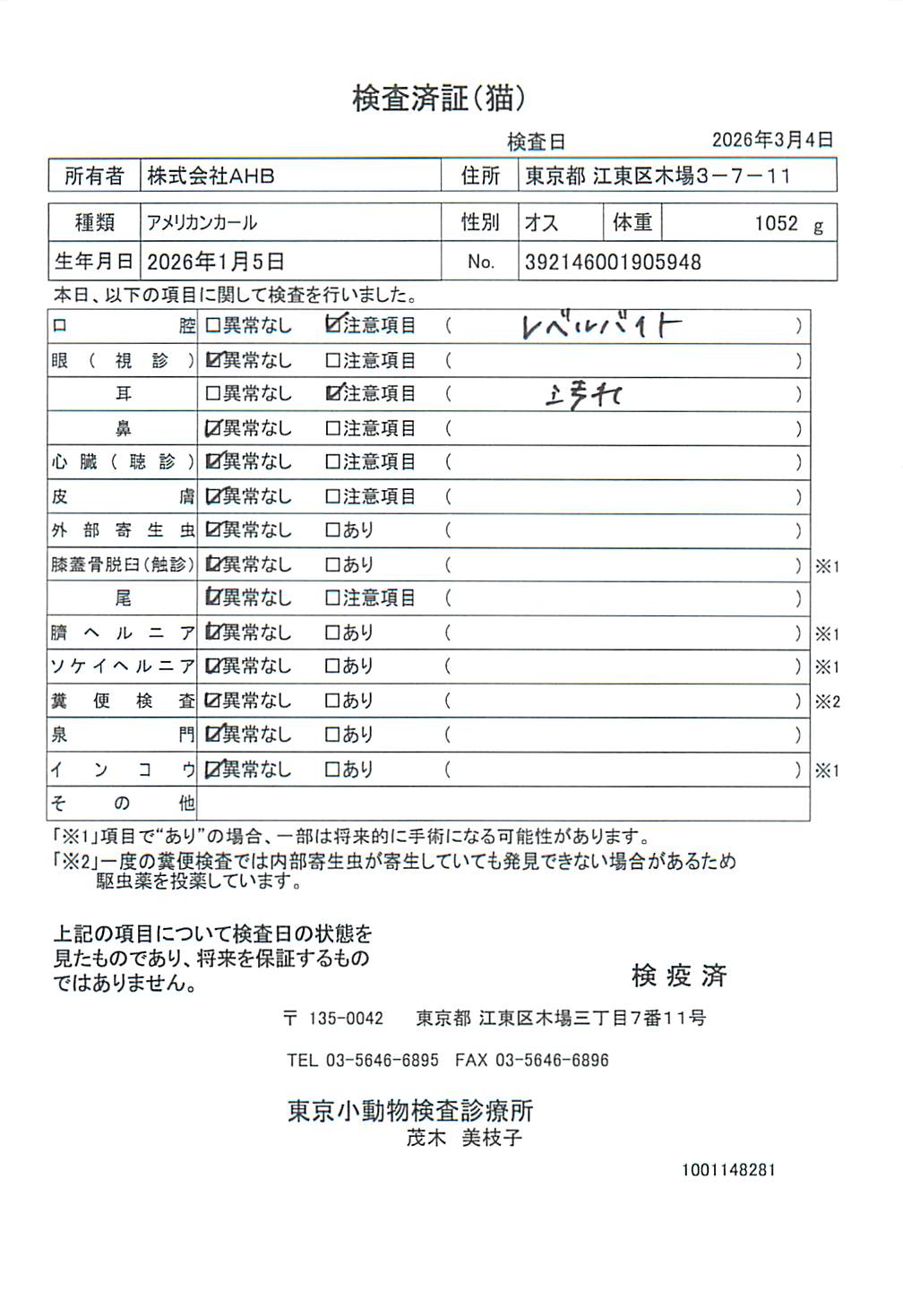 アメリカンカール
