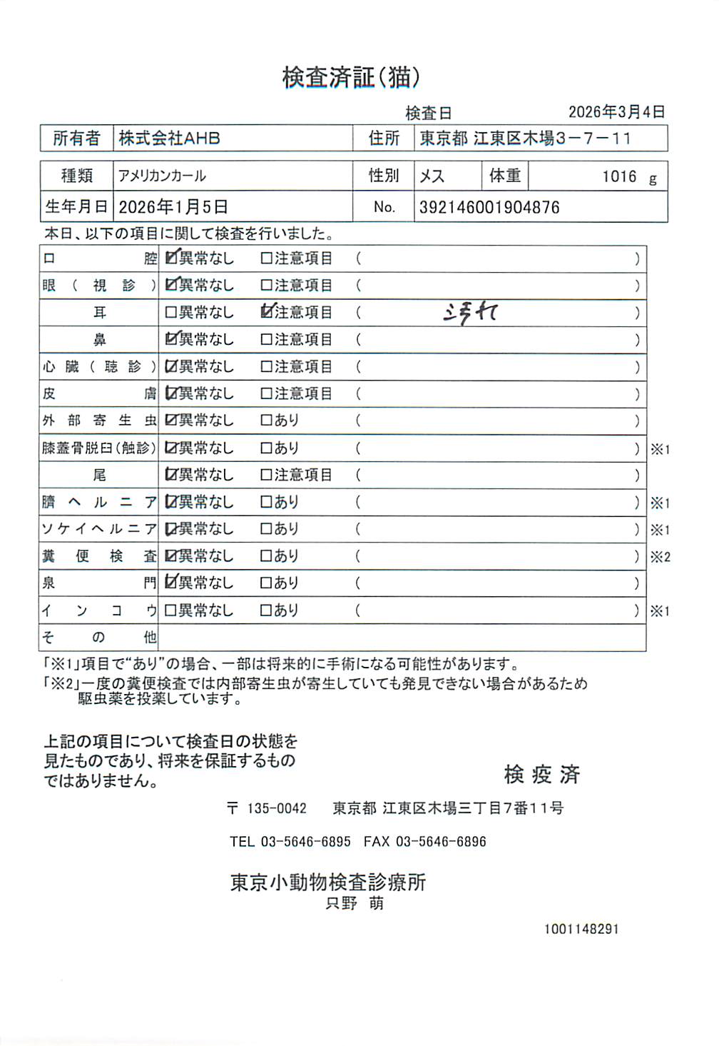アメリカンカール