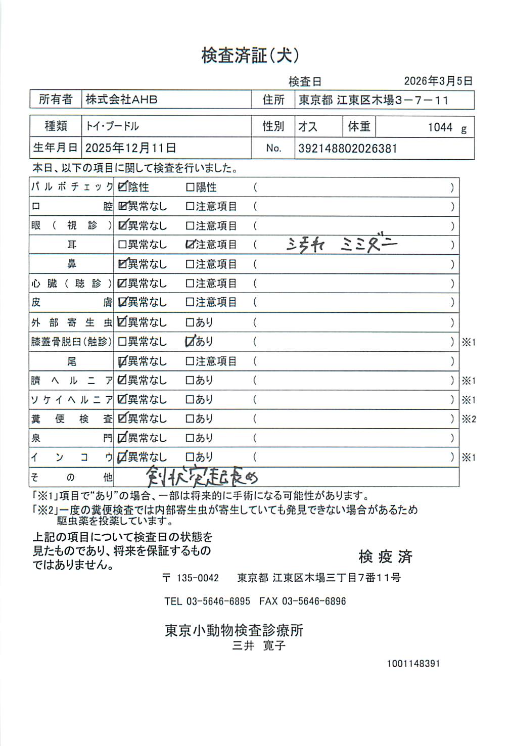 トイ・プードル