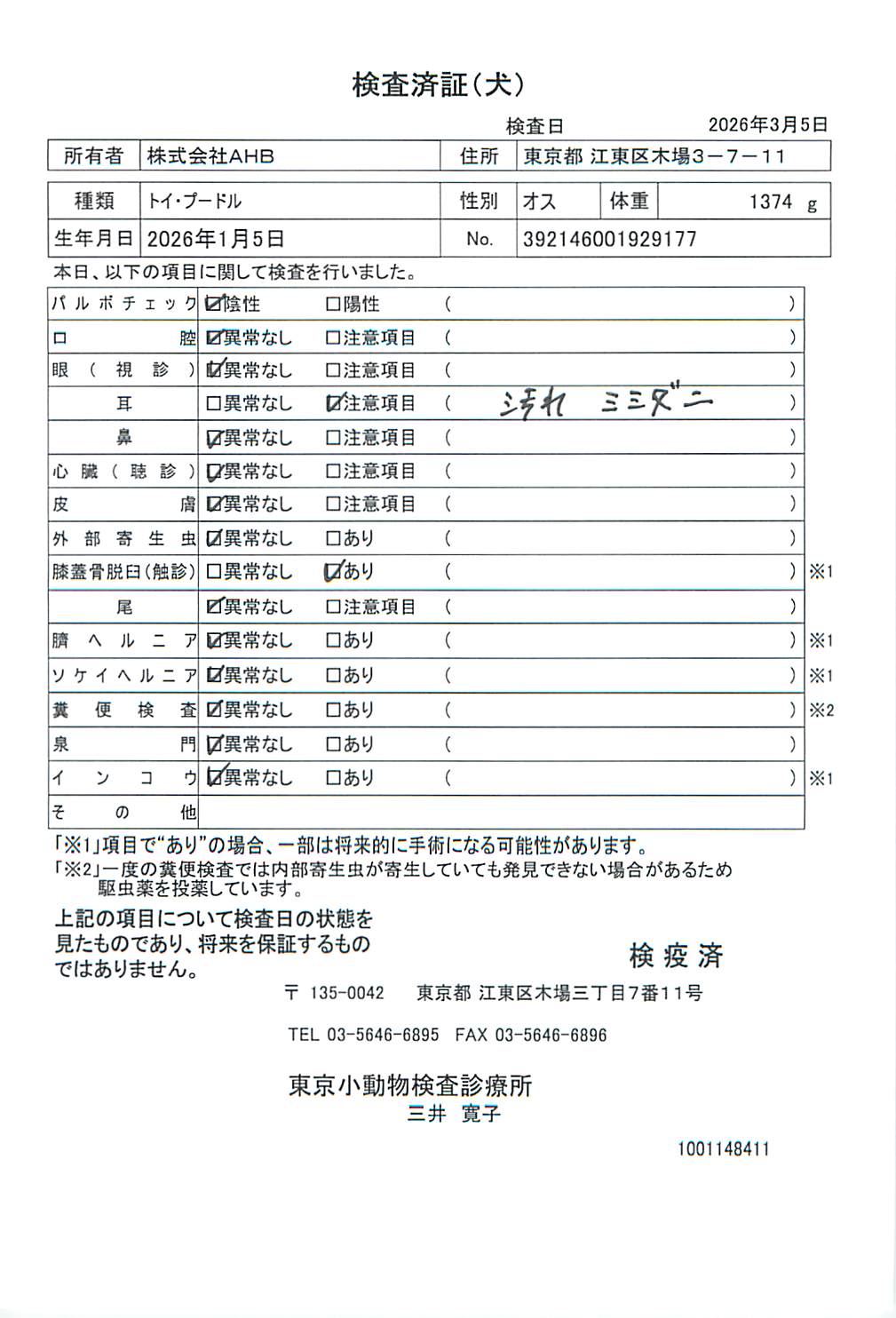 トイ・プードル