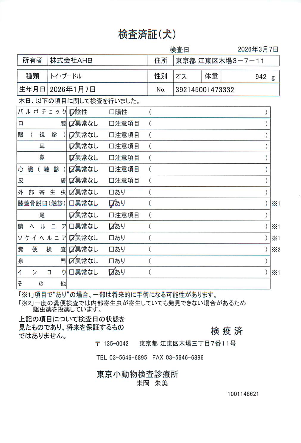 トイ・プードル