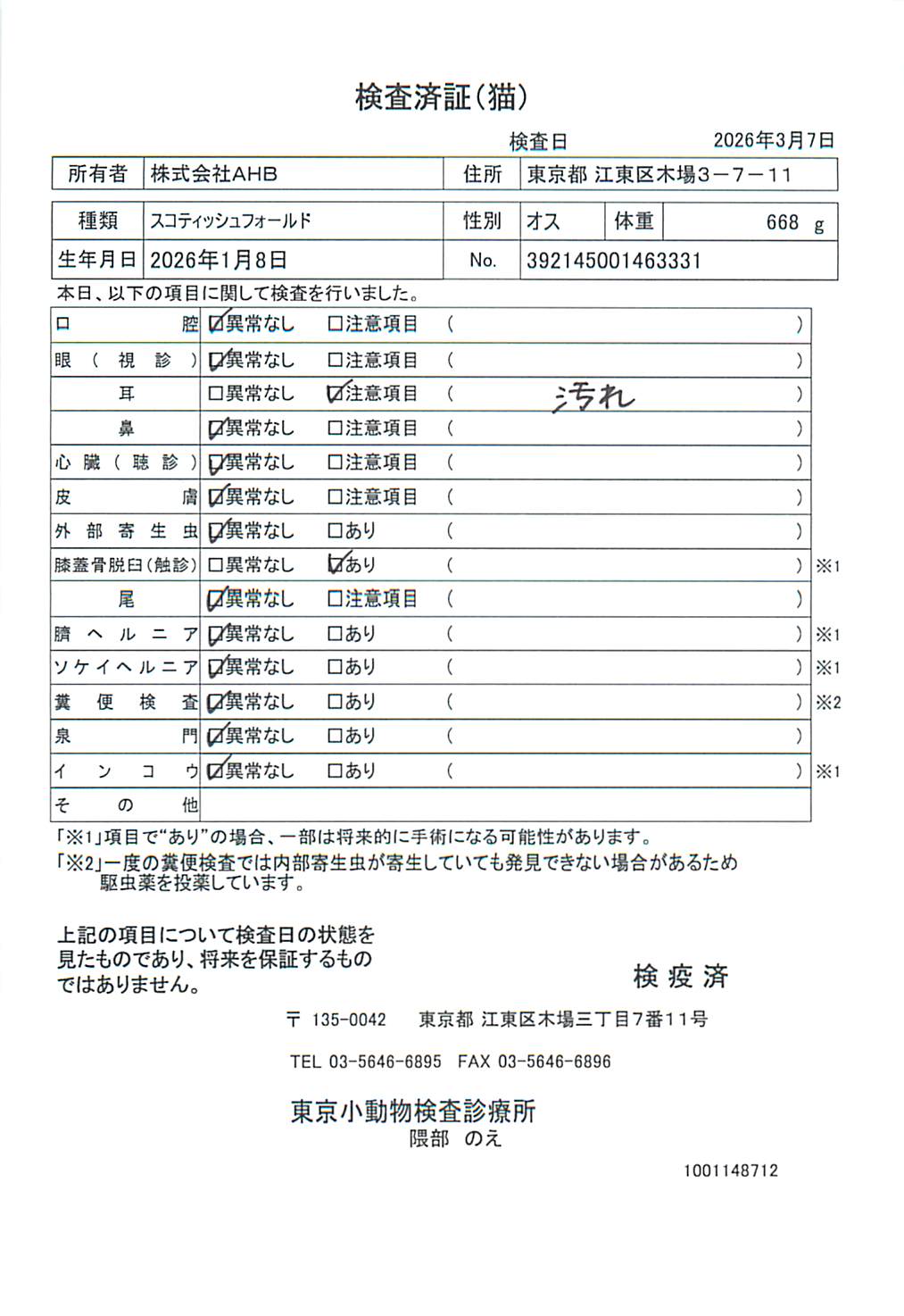 スコティッシュフォールド