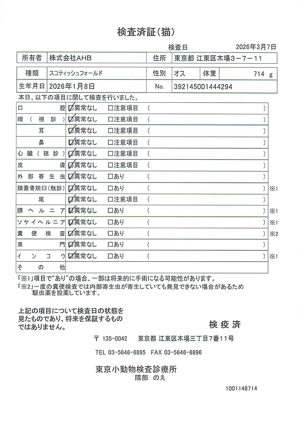 スコティッシュフォールド
