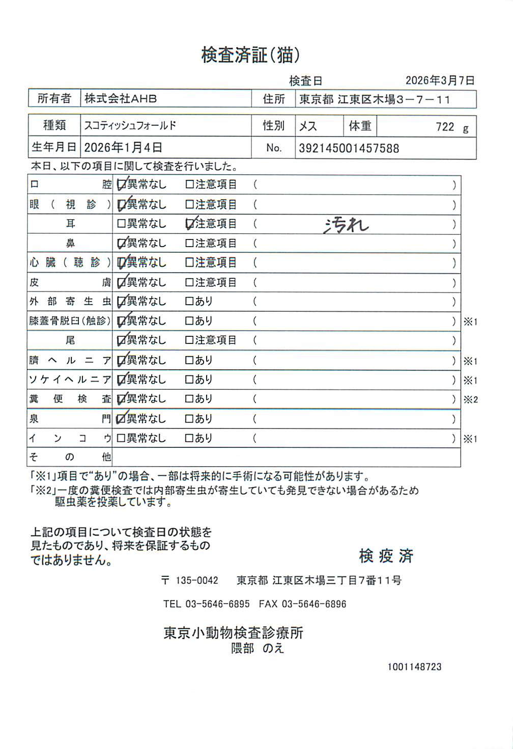 スコティッシュフォールド