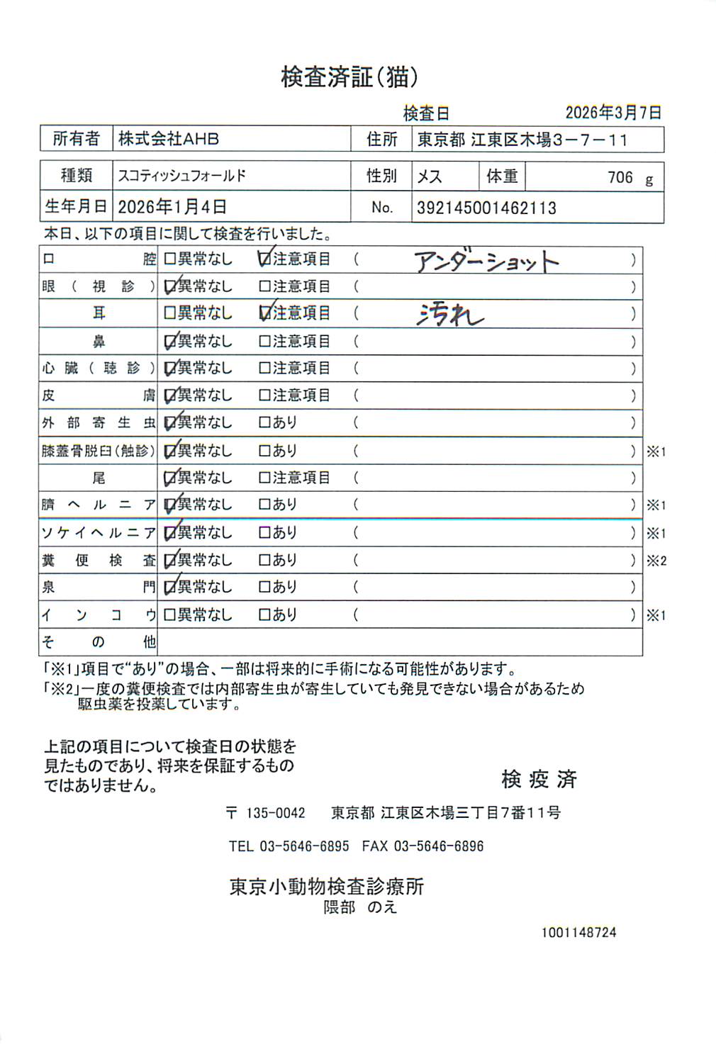 スコティッシュフォールド