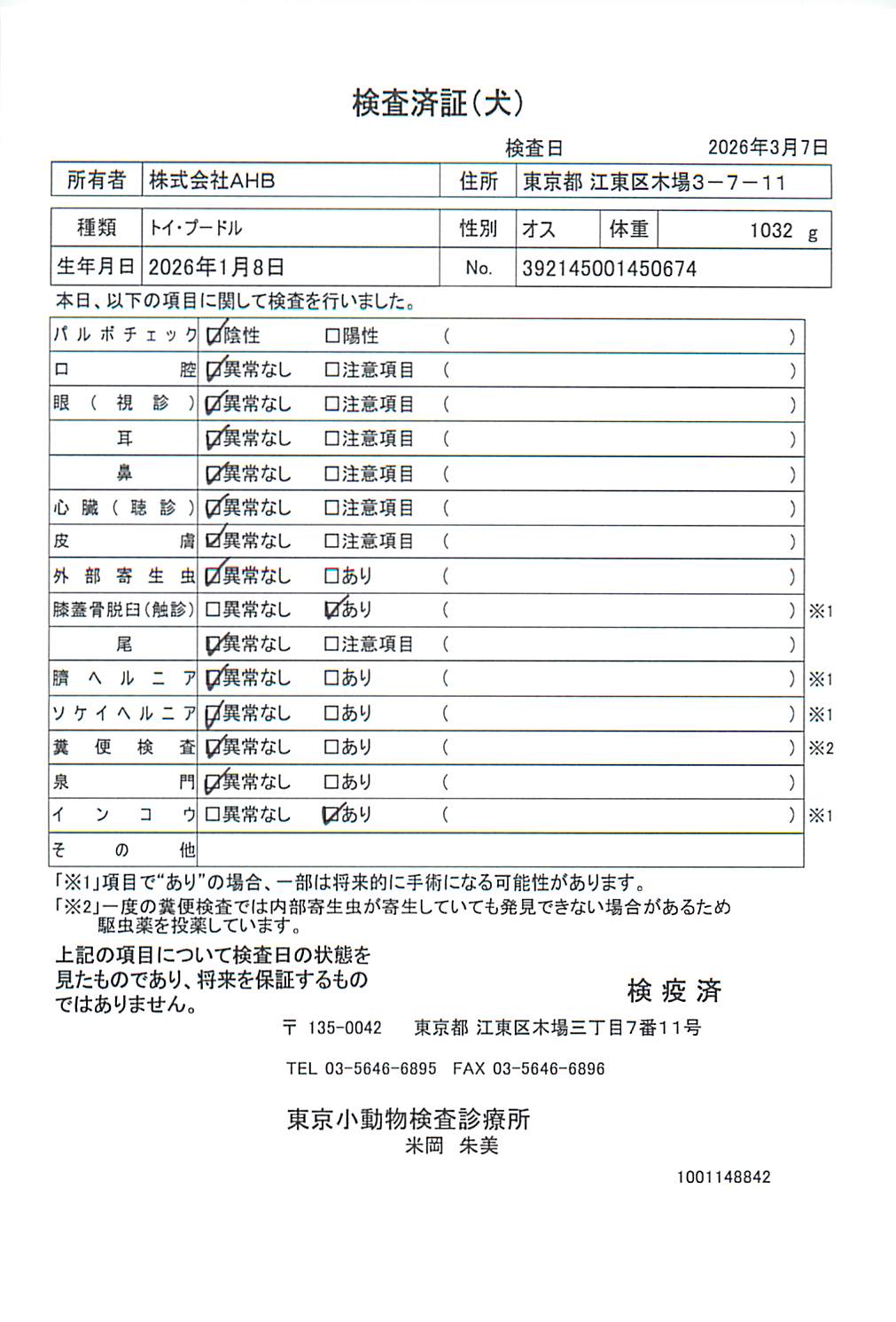 トイ・プードル