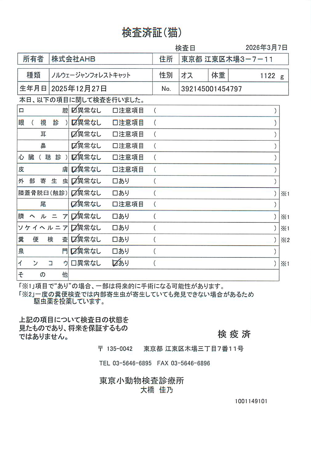 ノルウェージャンフォレストキャット