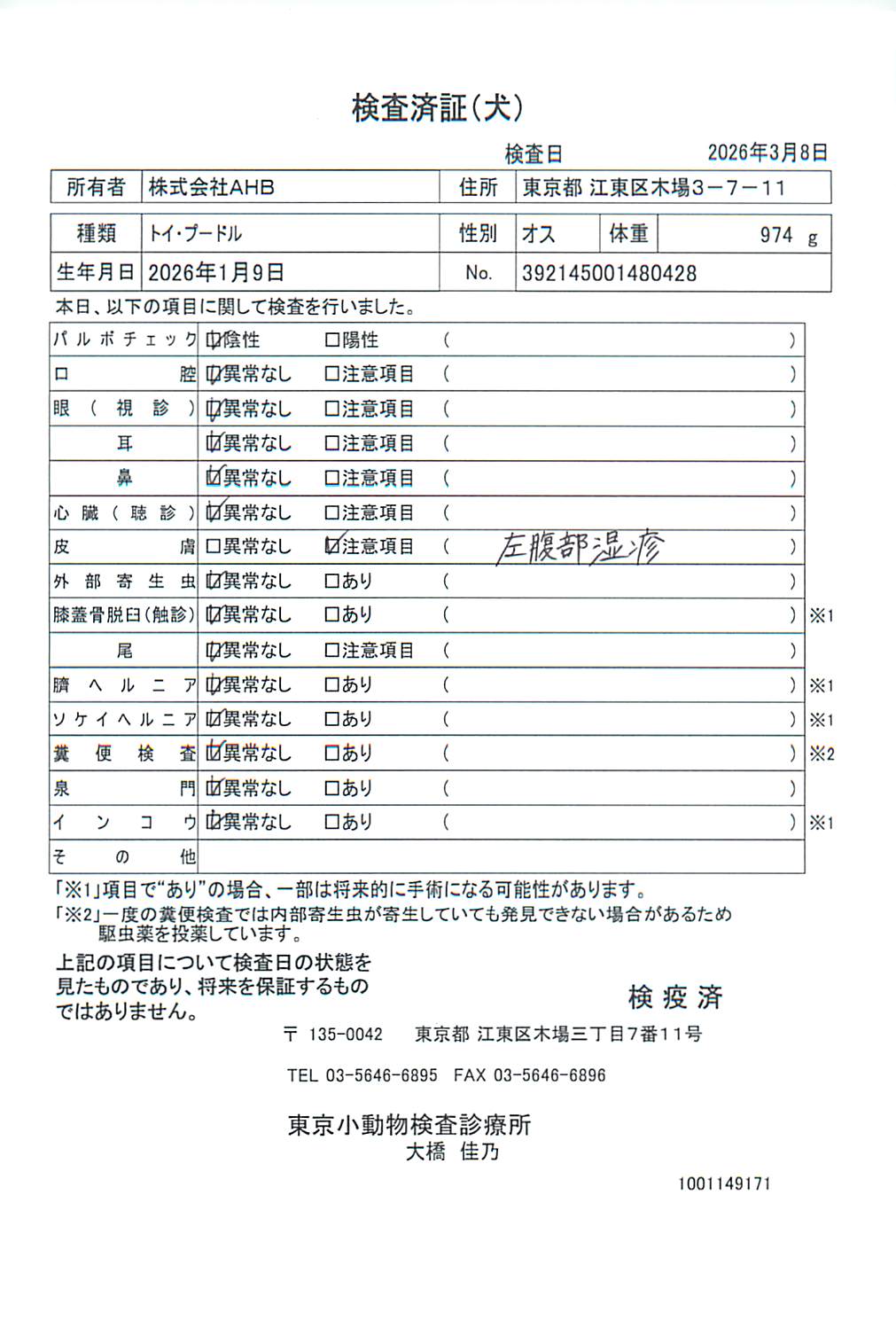 トイ・プードル