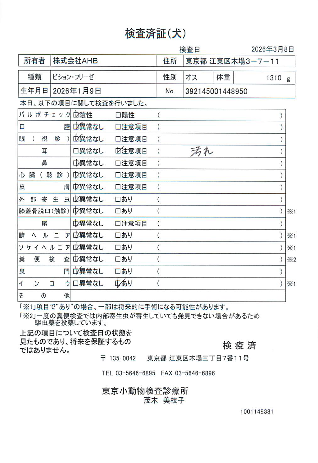 ビション・フリーゼ