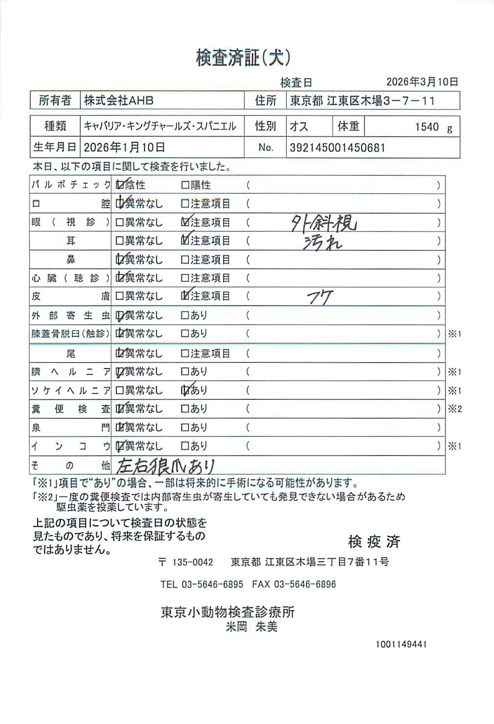 キャバリア・キングチャールズ・スパニエル