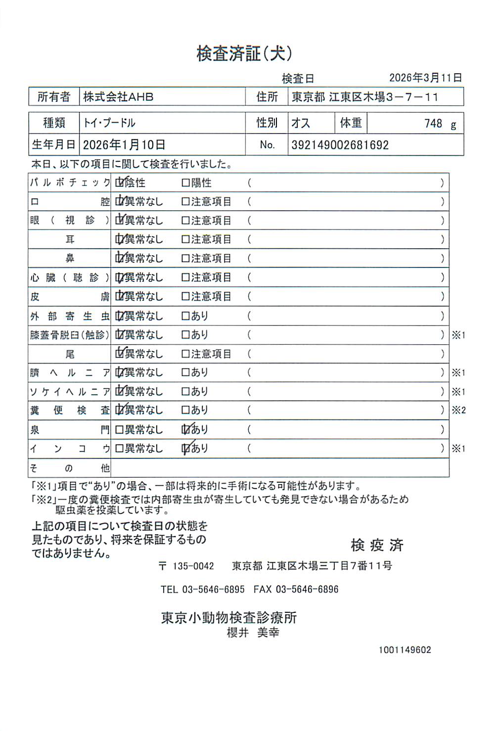 トイ・プードル