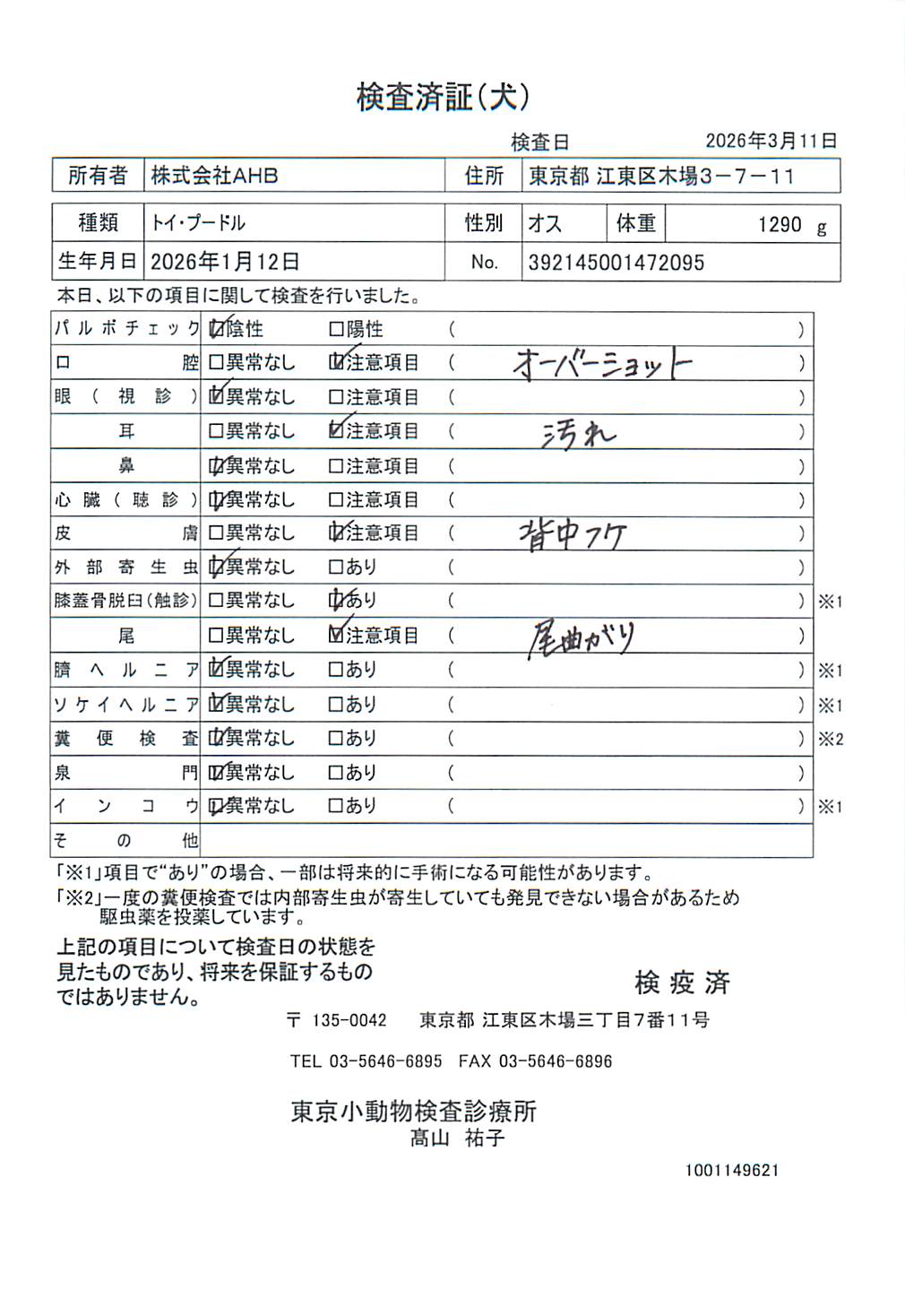 トイ・プードル