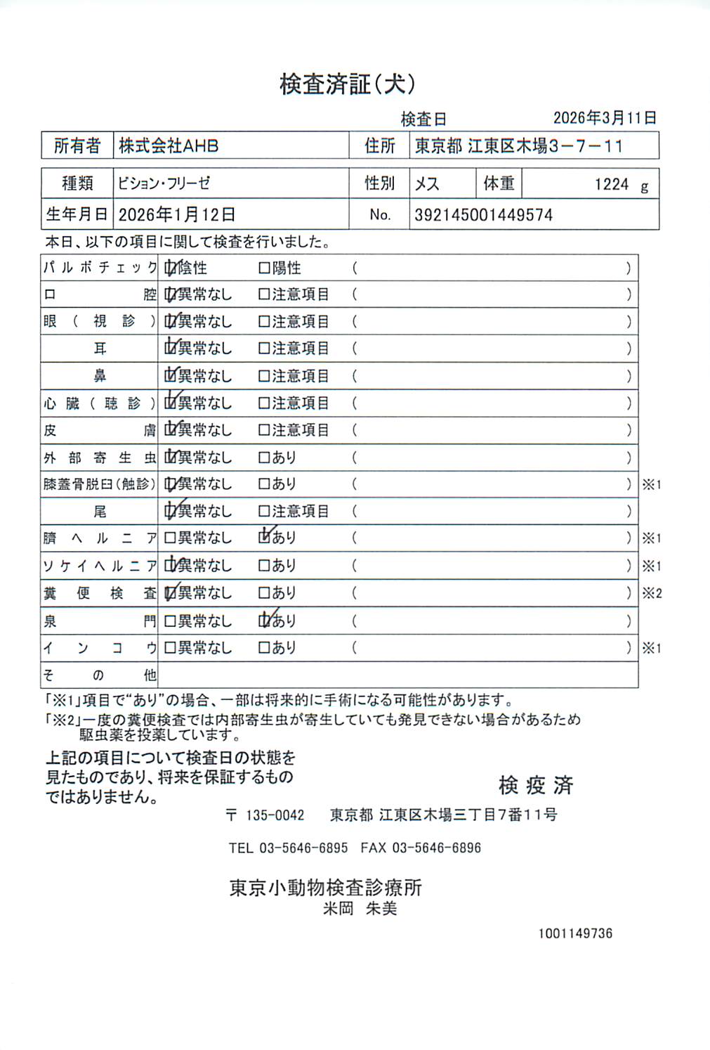 ビション・フリーゼ