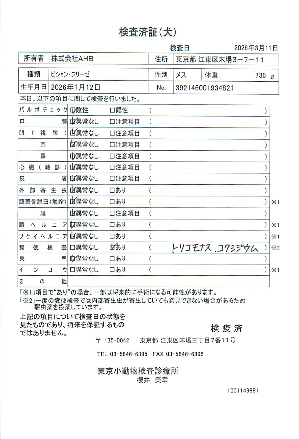 ビション・フリーゼ