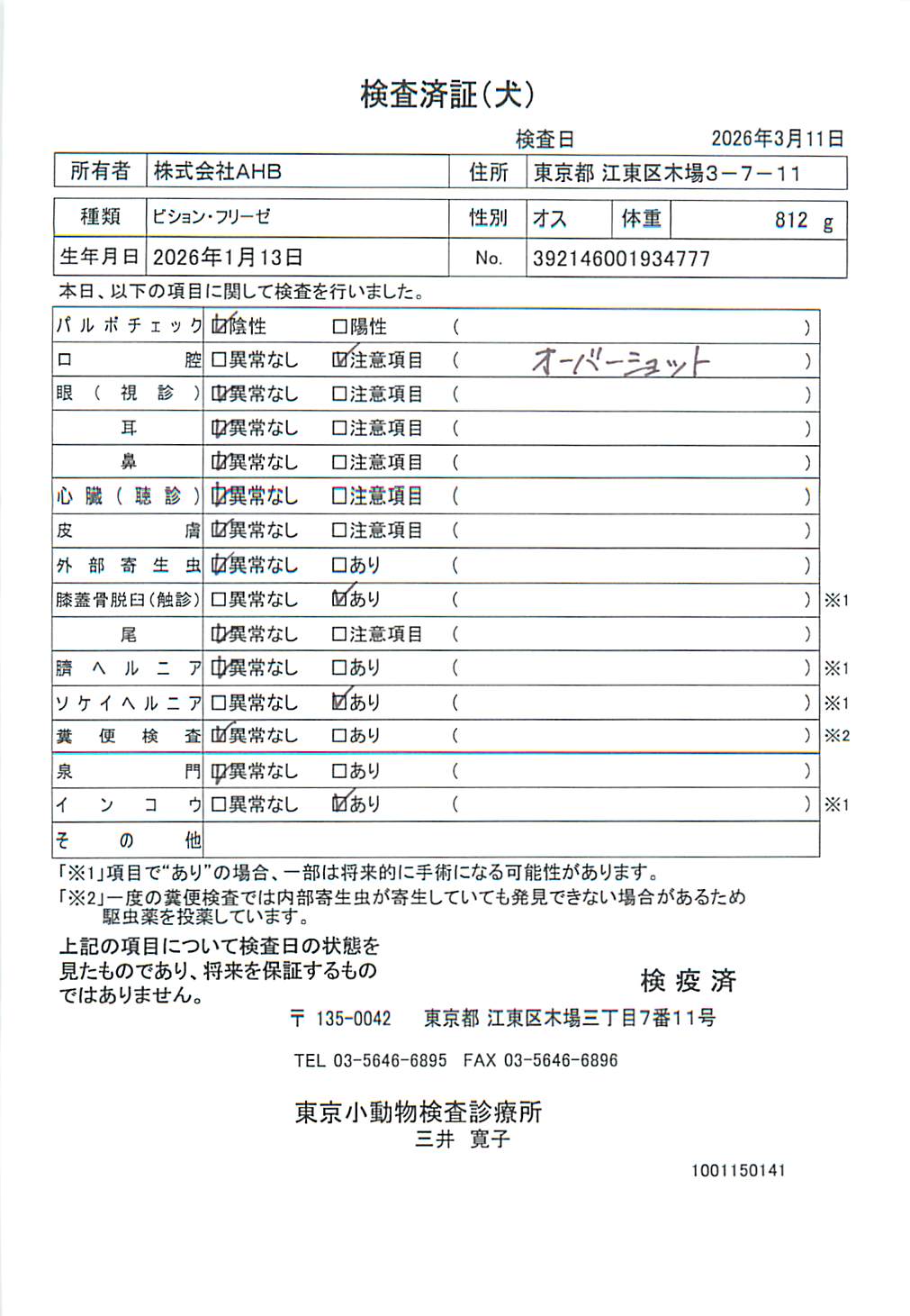 ビション・フリーゼ