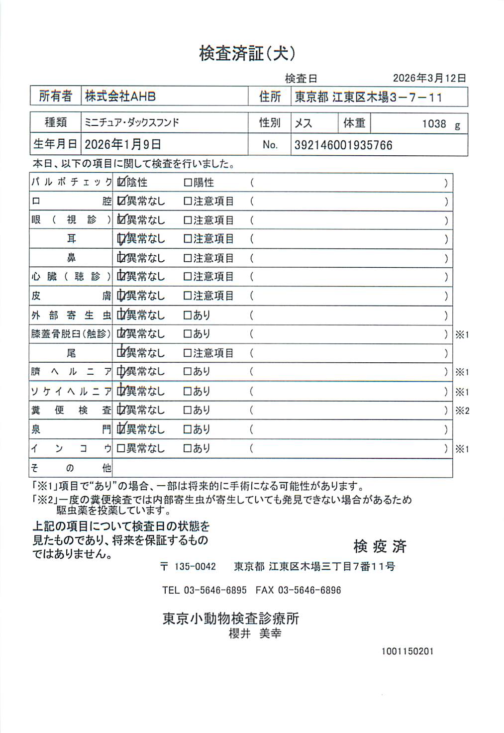 ミニチュア・ダックスフンド