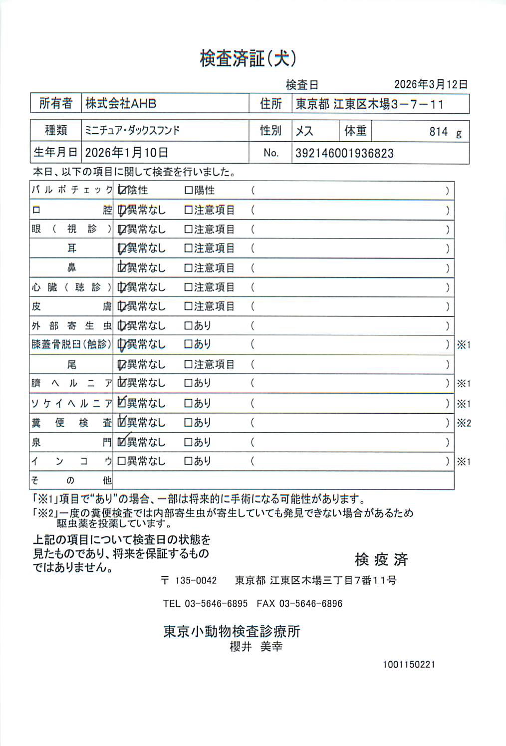 ミニチュア・ダックスフンド