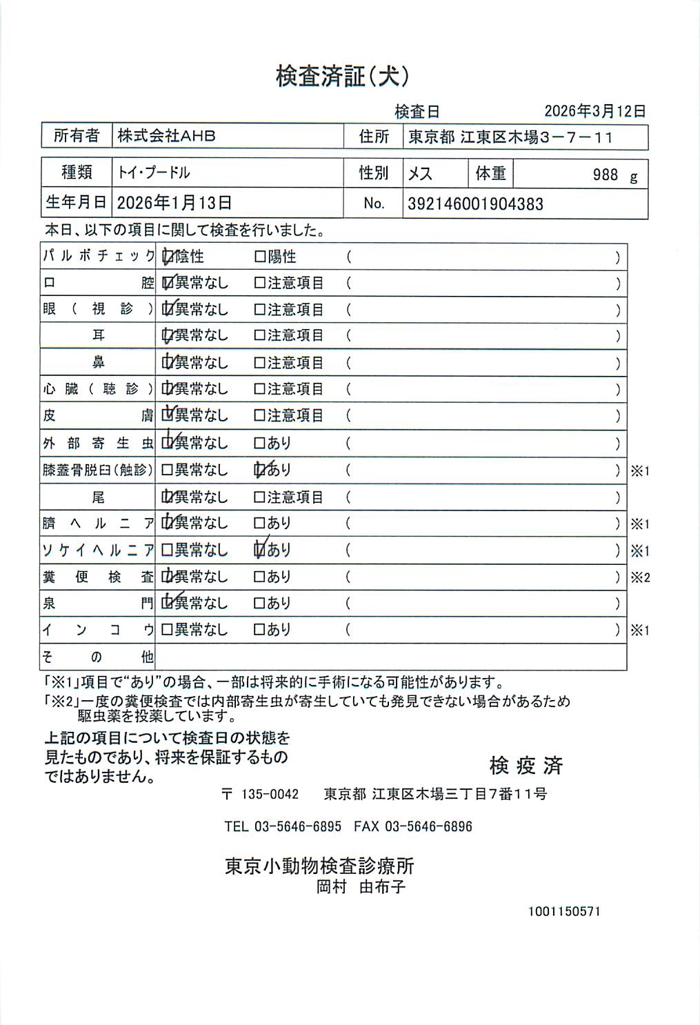 トイ・プードル