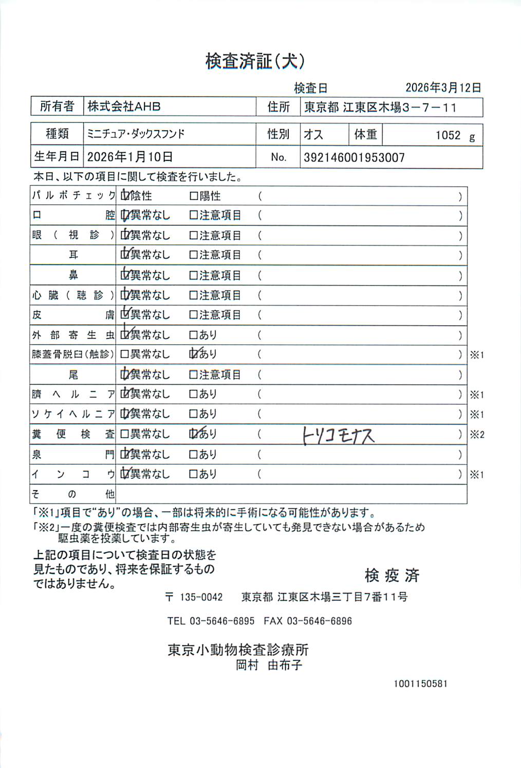 ミニチュア・ダックスフンド