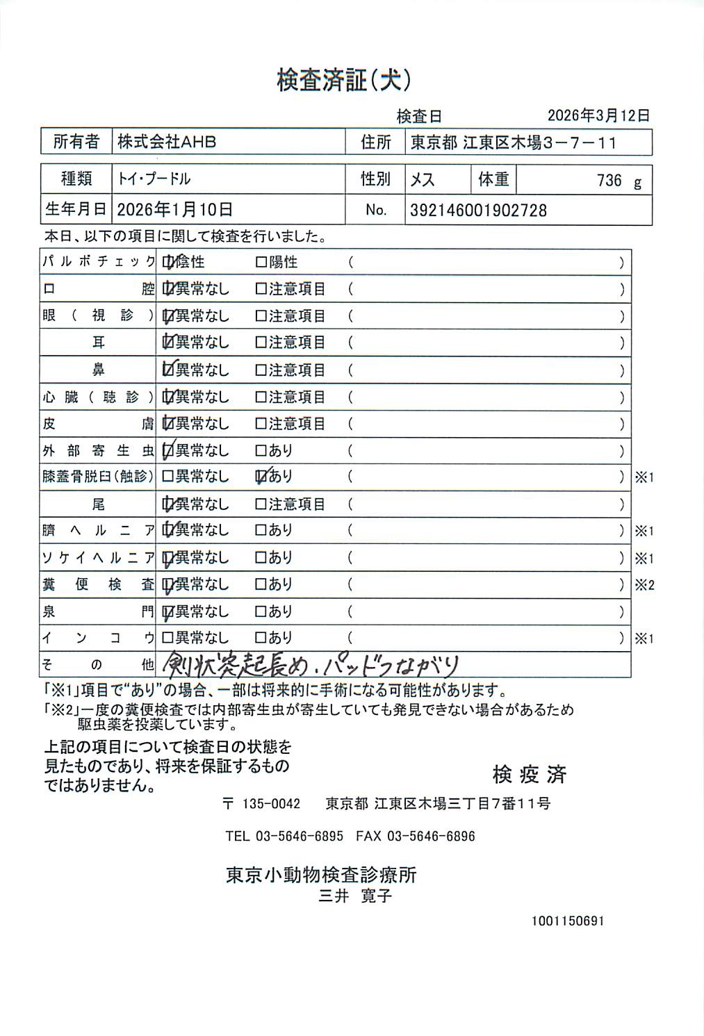 トイ・プードル