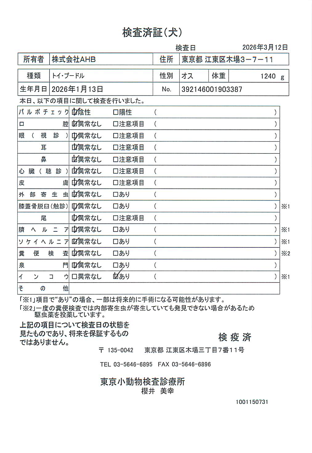 トイ・プードル