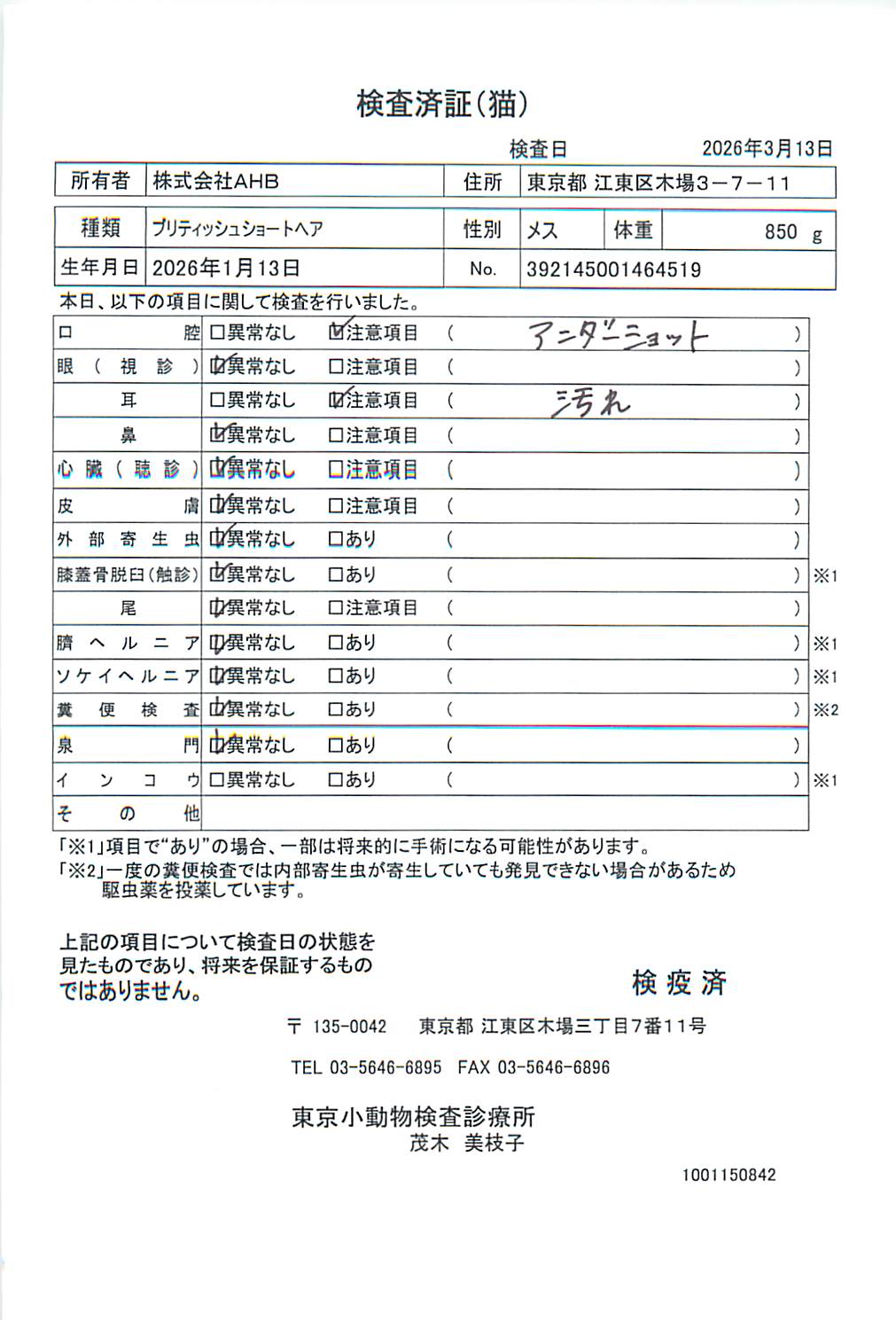 ブリティッシュショートヘア