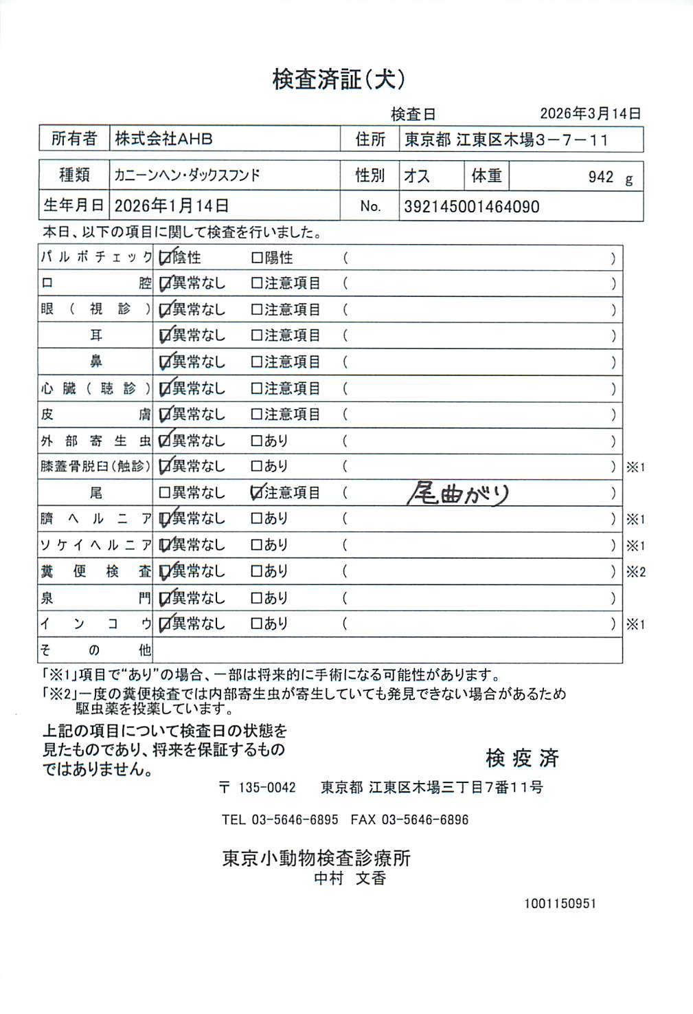 カニーンヘン・ダックスフンド