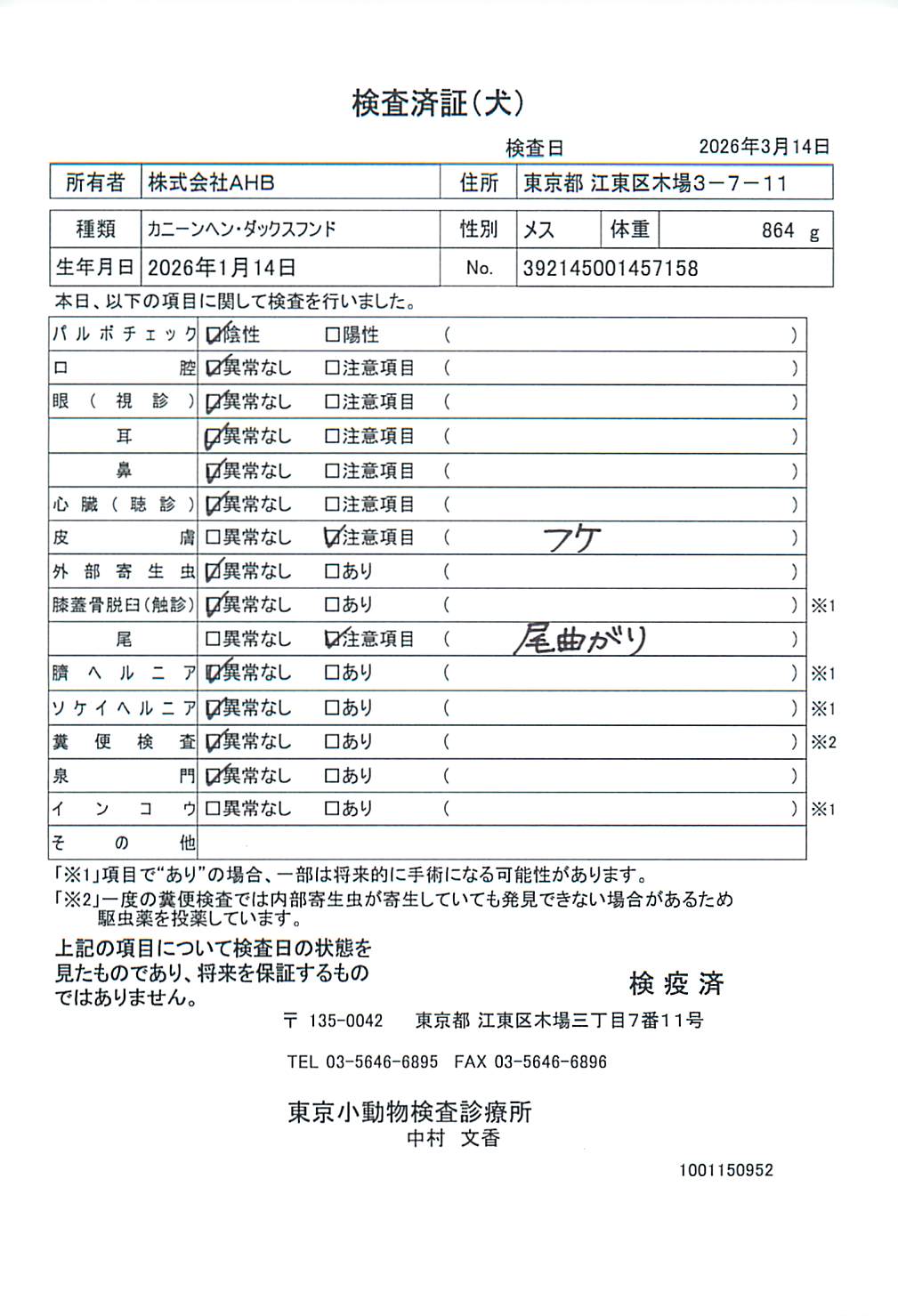 カニーンヘン・ダックスフンド